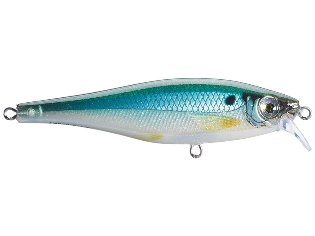 Berkley Frittside Crankbait 5 Biggun / HD Blueback Herring