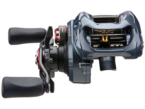 Daiwa Zillion SV TW Casting Reel